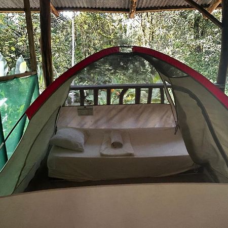 Rio Agujitas Eco Farm Hostel And Tours Drake Bay Exterior photo