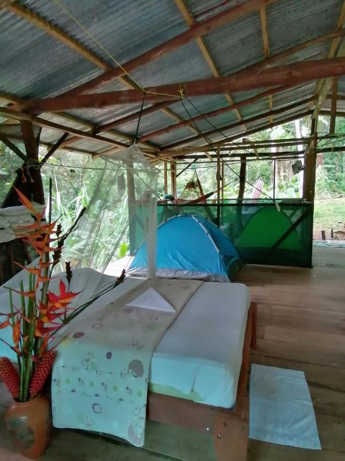 Rio Agujitas Eco Farm Hostel And Tours Drake Bay Exterior photo