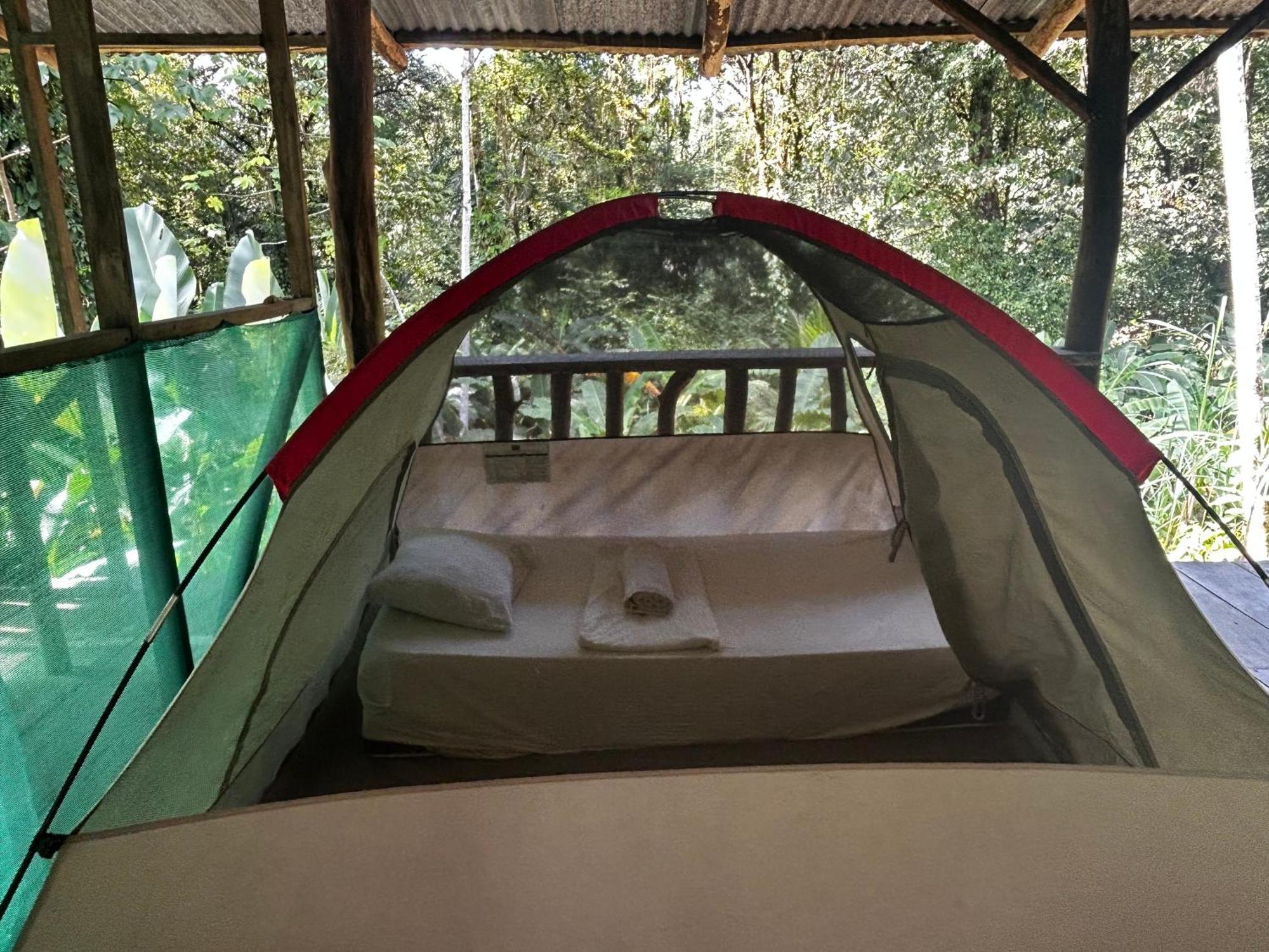 Rio Agujitas Eco Farm Hostel And Tours Drake Bay Exterior photo